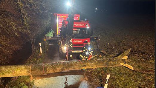 Die Feuerwehr musste überwiegend umgestürzte Bäume und abgerissene Äste bergen.