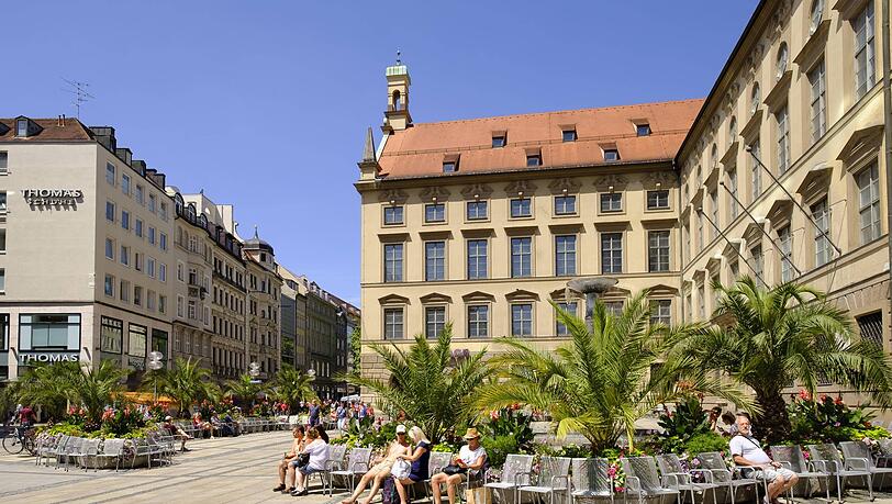 So sah es im Sommer 2017 an der Alten Akademie aus. Davor wuchsen Palmen in Pflanztrögen. (Archivbild) So sah es im Sommer 2017 an der Alten Akademie aus. Davor wuchsen Palmen in Pflanztrögen. (Archivbild)