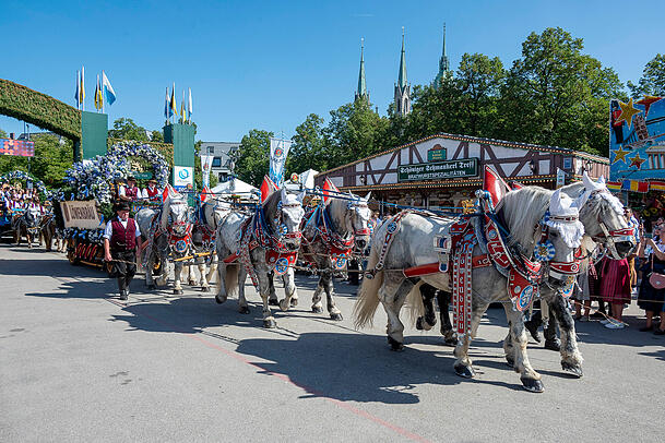 Münchner Oktoberfest 2023: Das Löwenbräu-Gespann beim Einzug der Wirte. Münchner Oktoberfest 2023: Das Löwenbräu-Gespann beim Einzug der Wirte.