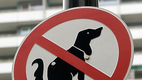 Ein Verbotsschild für Hunde, die ihr Geschäft erledigen wollen.