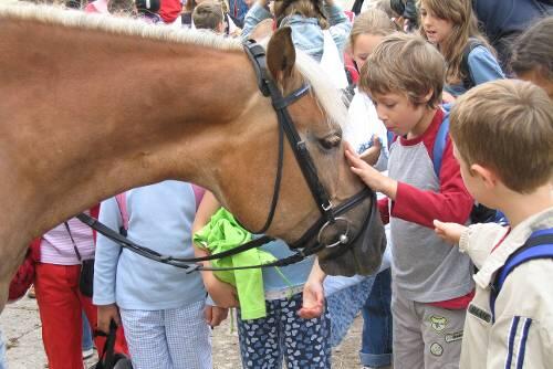 Vorsichtige Annäherung: Das Stadtjugendamt und der Evangelische Jugendhilfeverbund bieten in den Osterferien verschiedenste Freizeiten und Ausflüge an - unter anderem zu Pony- und Reiterhöfen.
