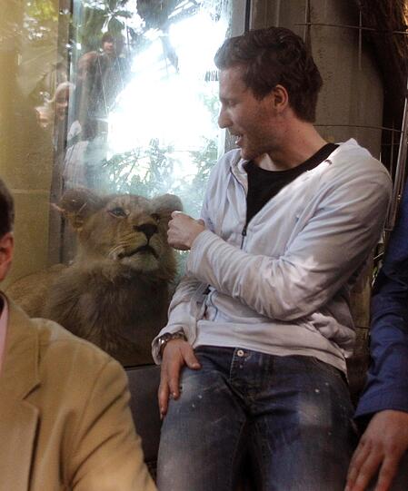 Zwei einjährige Löwenjungs wohnen seit einigen Tagen im Tierpark Hellabrunn. Und der TSV 1860 hat für sie eine Patenschaft übernommen. Klicken Sie durch die besten Aufnahmen von den verspielten Tieren!