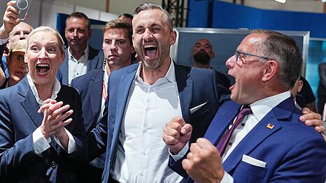 Manches, was die AfD in ihrem Wahlprogramm in Sachsen-Anhalt als Ziel hat, f&auml;llt nicht in den Verantwortungsbereich der L&auml;nder. (Archivbild)