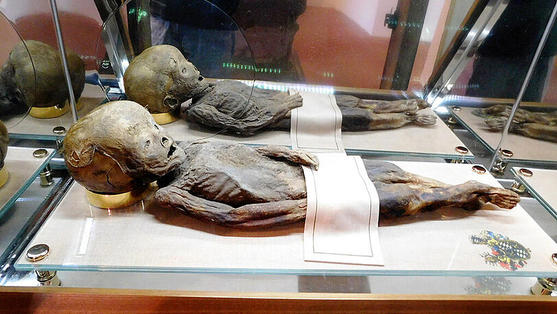 Darf sie nicht mehr länger ausgestellt werden? 700 Jahre ist Anna bereits alt, die Mumie in der Klosterkirche von Kastl in der Oberpfalz. Darf sie nicht mehr länger ausgestellt werden? 700 Jahre ist Anna bereits alt, die Mumie in der Klosterkirche von Kastl in der Oberpfalz.