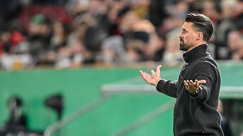 Auch im DFB-Pokal steht Sandro Wagner wieder mit leeren Händen da.