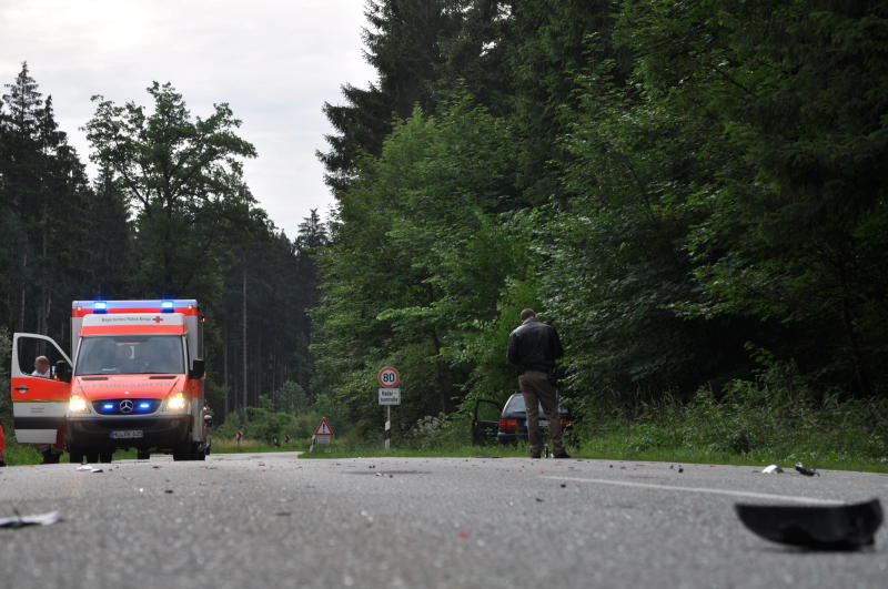 Der Wagen zerschellte an einem Baum - der Fahrer starb an der Unfallstelle.