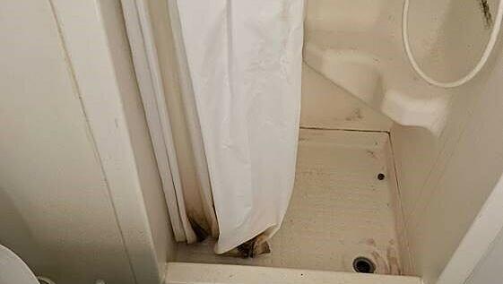 Diese Wohnung ist „unbewohnbar“, findet Student Adrian Gashi.