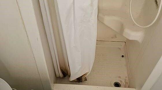Diese Wohnung ist „unbewohnbar“, findet Student Adrian Gashi.