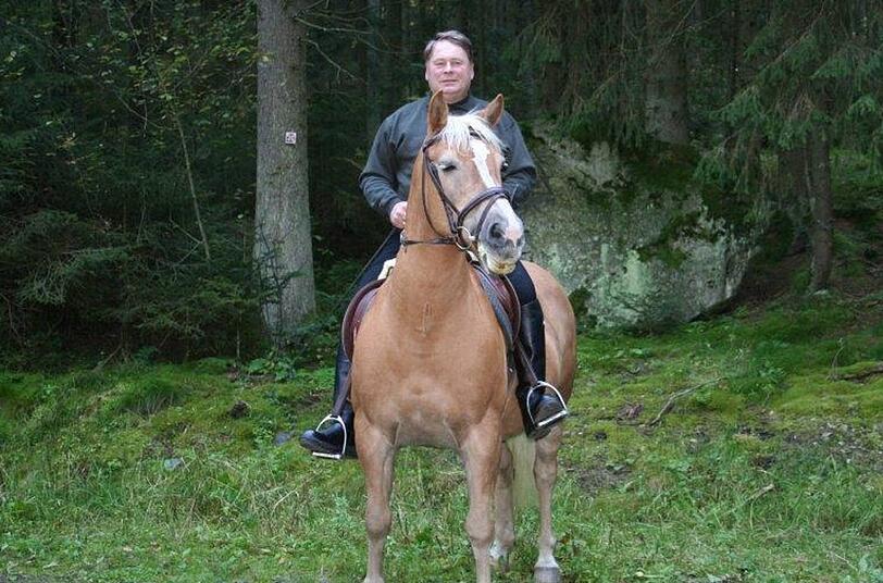 Auf seinem Haflinger Max: Bayerns Landwirtschaftsminister Helmut Brunner