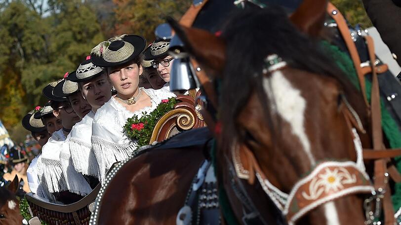 Beim berühmten Leonhardiritt in Bad Tölz kam es zu einem Unfall.