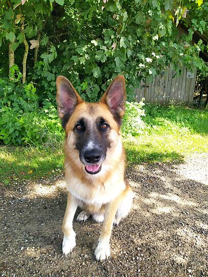 Luca