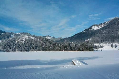 Neue Lawine am Spitzingsee