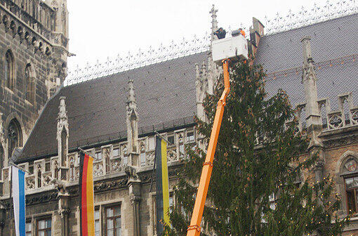 Frage 11: Wie hoch ist der Münchner Christbaum? Und woher stammt er?