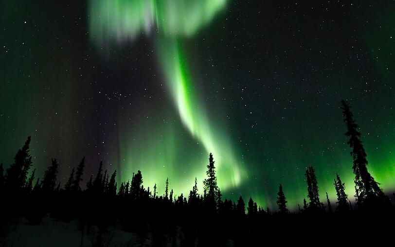 Mit etwas Glück lässt sich in Alaska das Nordlicht (auch Aurora borealis) bewundern. Mit etwas Glück lässt sich in Alaska das Nordlicht (auch Aurora borealis) bewundern.