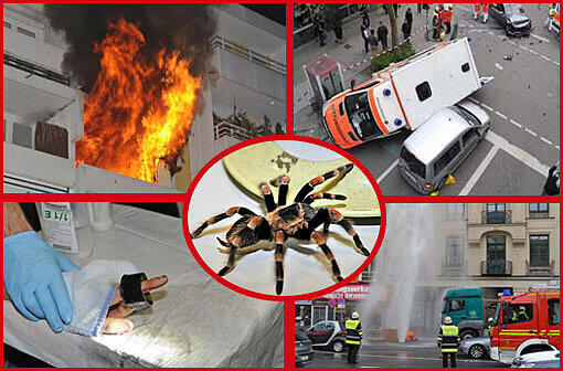 Die Münchner Berufsfeuerwehr absolviert 2011 417391 Einsätze: Von Unfällen und Bränden bis hin zu Vogelspinnen - sehen Sie hier die spektakulärsten Fälle in Bildern.