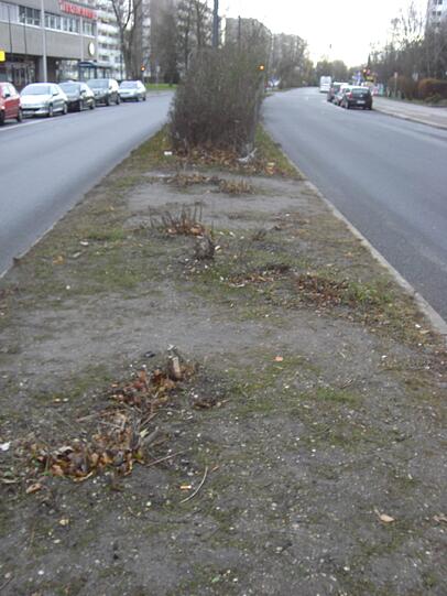... der Weg über die stark befahrene Straße wird nun als Abkürzung genutzt.