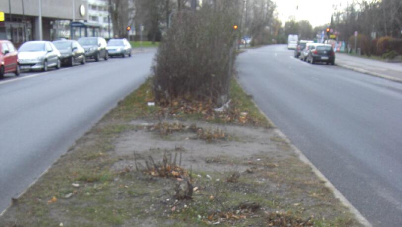 ... der Weg über die stark befahrene Straße wird nun als Abkürzung genutzt. ... der Weg über die stark befahrene Straße wird nun als Abkürzung genutzt.