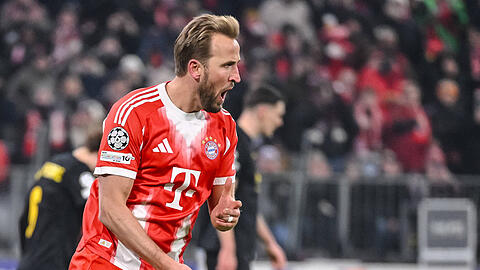 Zwei Tore gegen Saint-Gilloise und damit wieder zwei Schnitzel: Harry Kane.