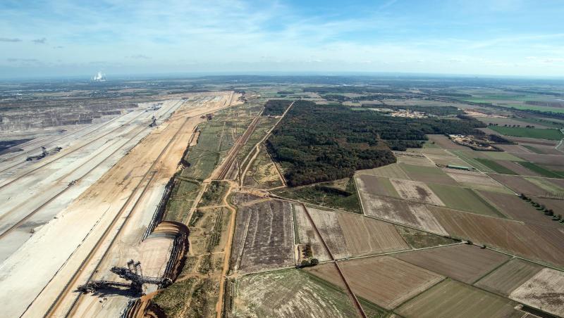 Der Hambacher Forst zwischen Köln und Aachen gilt als Symbol des Widerstands gegen die Kohle. Der Hambacher Forst zwischen Köln und Aachen gilt als Symbol des Widerstands gegen die Kohle.
