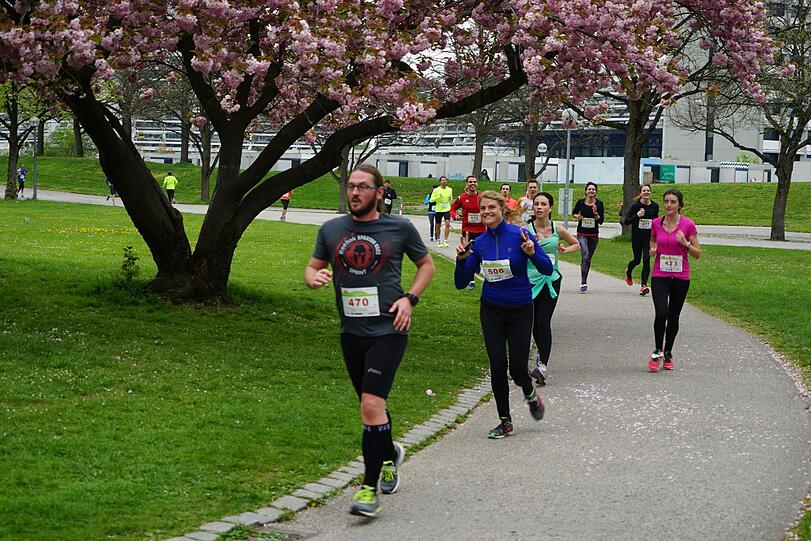 Bereits zum 12. Mal fand der Halbmarathon im Olympiapark statt. Die Bilder.