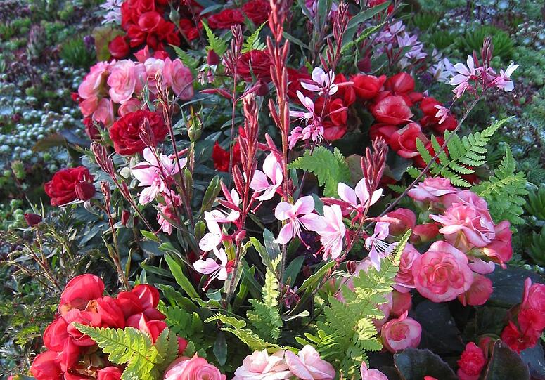 Ein mit Blumen geschmücktes Grab. (Symbolbild)