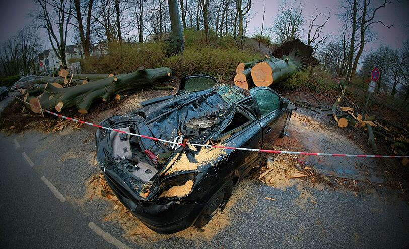 In Hamburg zerstörte ein Baum dieses Auto.
