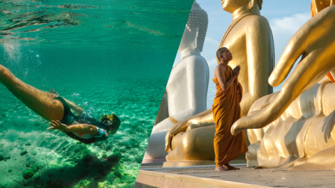 Reise für die Sinne oder Sinnreise? Tauchen Sie ein in das einmalige Zypern oder finden Sie sich in Thailand.