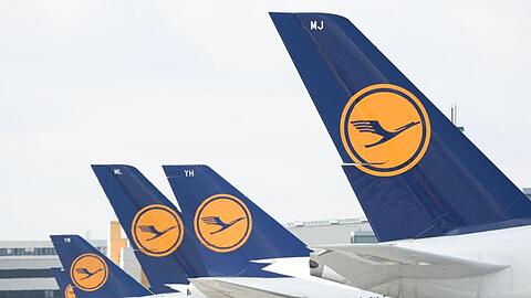 Lufthansa-Maschinen mit dem Kranich-Logo stehen am Frankfurter Flughafen.