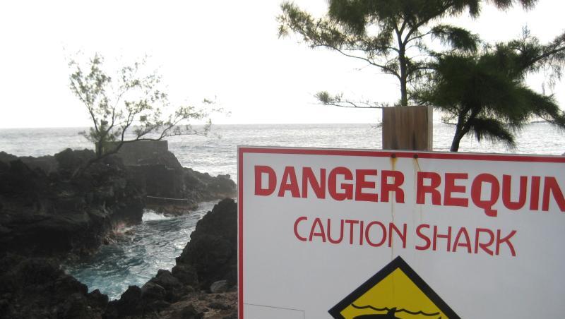 Ein Schild warnt an einem Strand von La Réunion vor Haien. Ein Schild warnt an einem Strand von La Réunion vor Haien.
