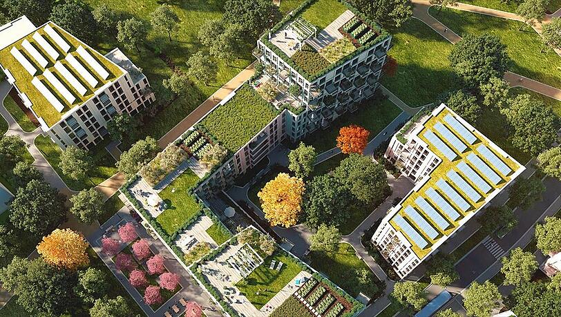 Wer als Bewohner künftig Salat pflanzen will, kann das auf einer gemeinschaftlich genutzten grünen Dachterrasse tun. Wer als Bewohner künftig Salat pflanzen will, kann das auf einer gemeinschaftlich genutzten grünen Dachterrasse tun.