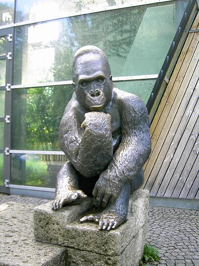 "In Hellabrunn zeigt die Staue ganz deutlich, wer hier der Boss ist."