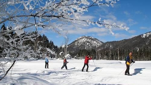 Weite Wiesen, grandiose Aussicht – und eine Loipe, die auch in milderen Wintern schneesicher ist. Kurzum: Zwischen Kaltenbrunn und Klais bleiben keine Wünsche offen. Weite Wiesen, grandiose Aussicht – und eine Loipe, die auch in milderen Wintern schneesicher ist. Kurzum: Zwischen Kaltenbrunn und Klais bleiben keine Wünsche offen.