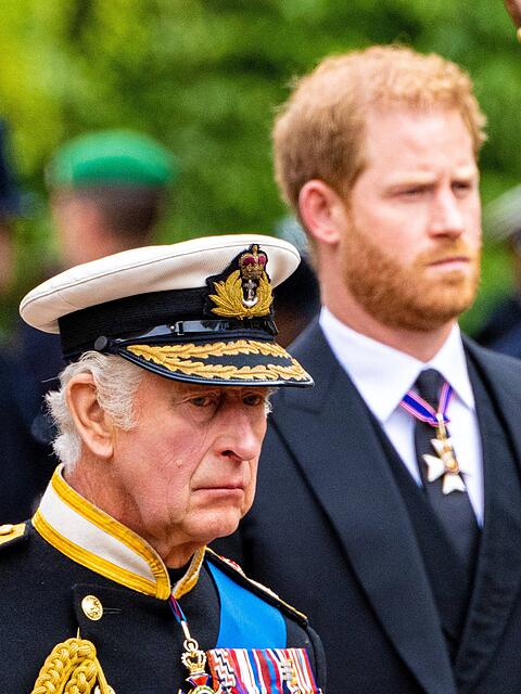 K&ouml;nig Charles und Prinz Harry trafen k&uuml;rzlich aufeinander &ndash; ohne gro&szlig;es Brimborium.