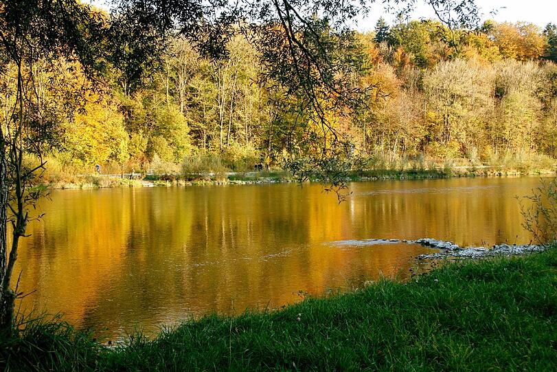 Ein Bild aus dem Herbst. Die Isar in Thalkirchen.