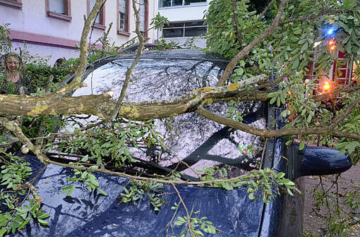 Teile eines Baumes liegen in Freiburg (Baden-Württemberg) nach einem Unwetter auf einem Fahrzeug.
