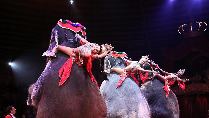 Circus Krone verschenkt seit Jahrzehnten Sondervorstellungen an Hilfsbedürftige. (Symbolbild) Circus Krone verschenkt seit Jahrzehnten Sondervorstellungen an Hilfsbedürftige. (Symbolbild)