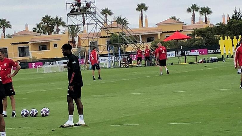 Alphonso Davies (hinten auf dem Stuhl) war nur Zuschauer