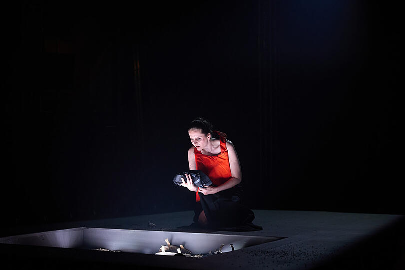 "Searching for Zenobia" von Lucia Ronchetti.