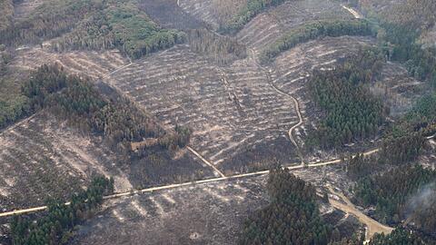 Die Aufnahme aus einem Flugzeug zeigt das Waldbrandgebiet im H&uuml;rtgenwald.