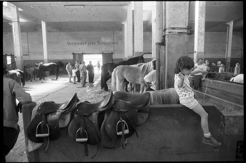 Fotos aus dem Buch "Der Pferdemarkt München".