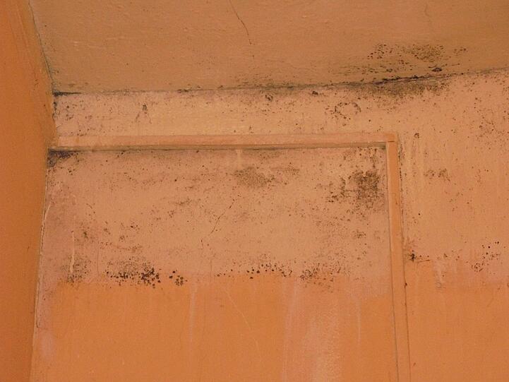 Eklig und gefährlich: schwarzer Schimmel im Badezimmer