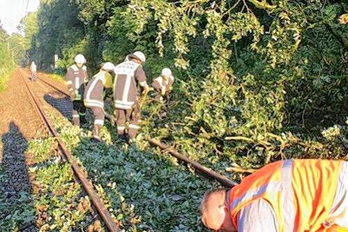 Bei Kolbermoor stürzte der morsch gewordene Baum auf die Gleise.