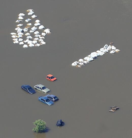 Deichbruch bei Fischbeck in Sachsen-Anhalt - Aktuelle Bilder vom Hochwasser