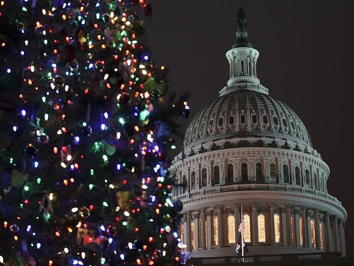 Ein Weihnachtsbaum vor dem Kapitol in Washington.