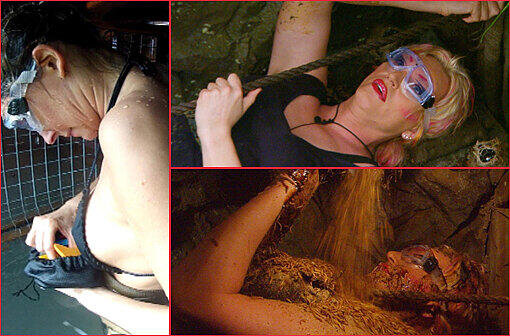 Joey hat's gepackt und ist Dschungelkönig! Doch was war vorher alles passiert? Die verbliebenen drei Bewohner müssen alle ran um sich den letzten Dschungelprüfungen zu stellen. Die Bilder von Claudelle, Olivia und Joey zum Durchklicken. Alle Infos zu &bdquo;Ich bin ein Star - Holt mich hier raus!&ldquo; im Special bei RTL.de