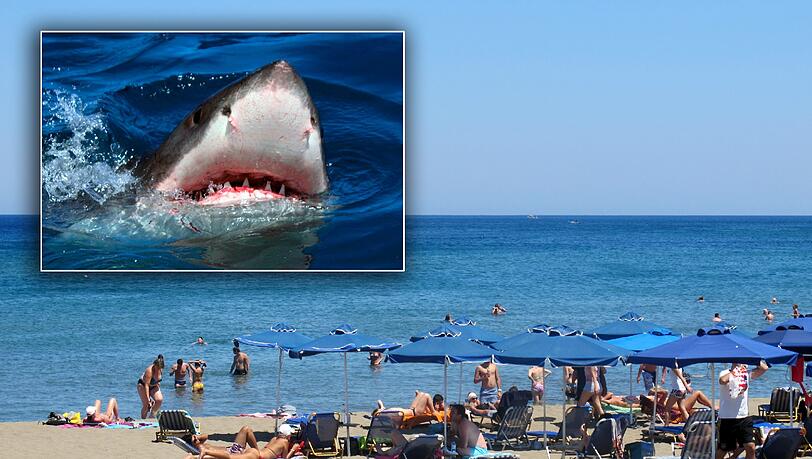 Nach einer Hai-Attacke im Roten Meer ist ein 53-jähiger Deutscher gestorben