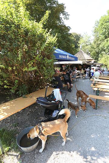 Da hat aber einer Durst. Hunde sind gern gesehene Gäste.
