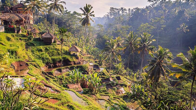 Bali lockt mit einer einzigartigen Natur.