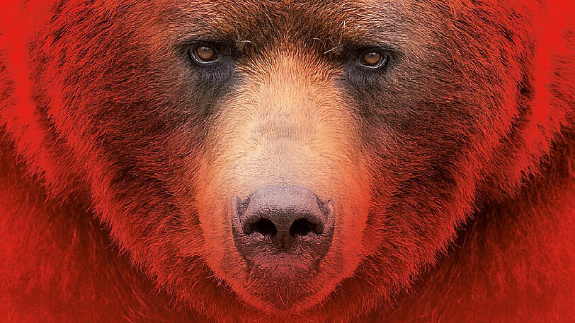 Starkes Cover: Das Symbol der Volkshochschule für den diesjährigen Russland-Schwerpunkt ist ein Braunbär auf rotem Grund.