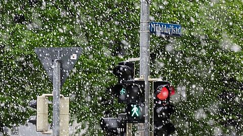 Wintereinbruch: Warnung vor starkem Schneefall in München.